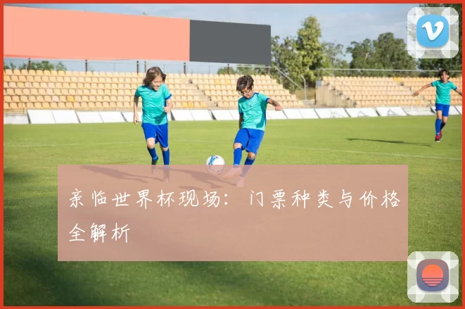 亲临世界杯现场：门票种类与价格全解析
