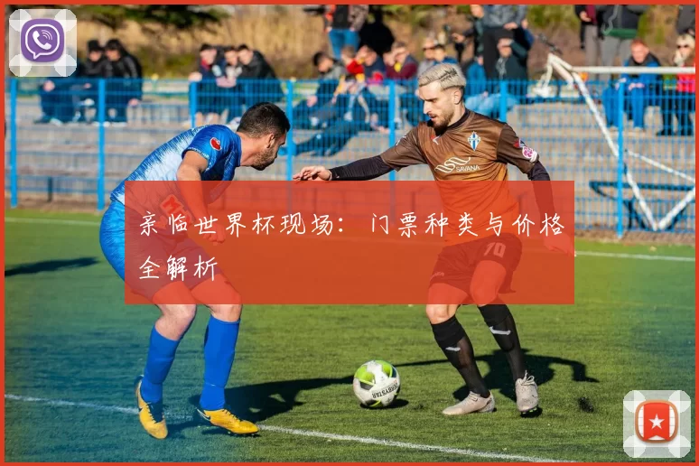 亲临世界杯现场：门票种类与价格全解析