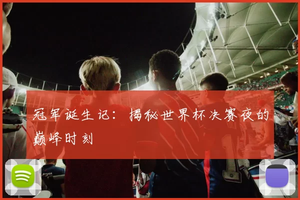 冠军诞生记:揭秘世界杯决赛夜的巅峰时刻