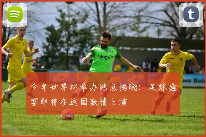 今年世界杯举办地点揭晓：足球盛宴即将在这国激情上演