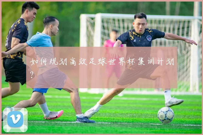 如何规划高效足球世界杯集训计划？