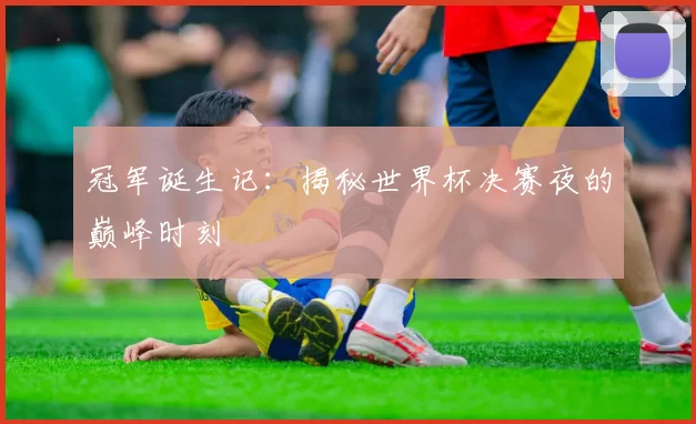 冠军诞生记:揭秘世界杯决赛夜的巅峰时刻