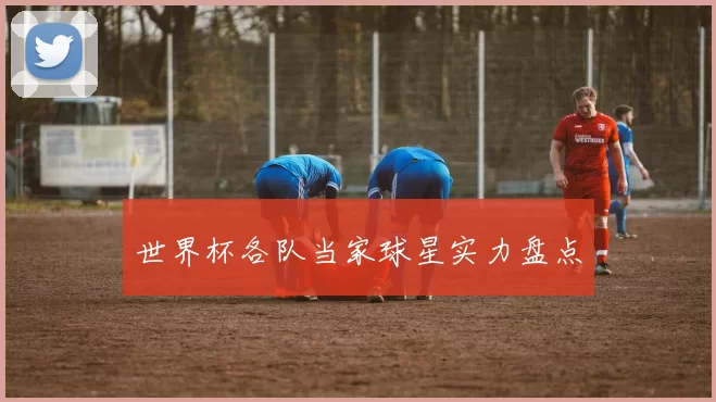 世界杯各队当家球星实力盘点