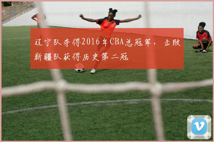 辽宁队夺得2016年CBA总冠军，击败新疆队获得历史第二冠