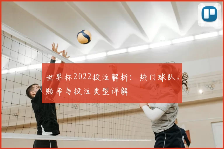 世界杯2022投注解析：热门球队、赔率与投注类型详解